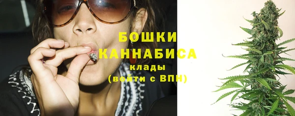 винт Инсар