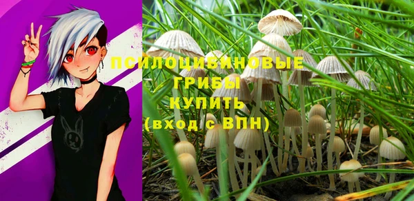 винт Инсар