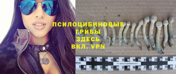 винт Инсар