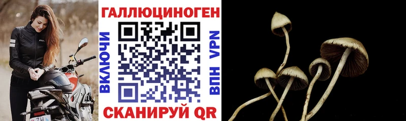 Псилоцибиновые грибы Magic Shrooms что такое наркотик Исилькуль